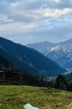 IMG_1652 e1782541833257