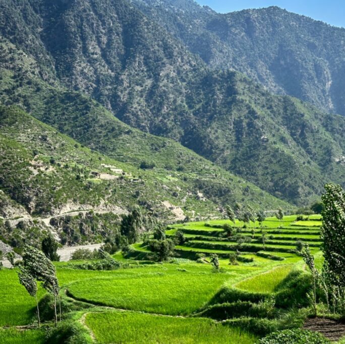 Nuristan e1782715033770